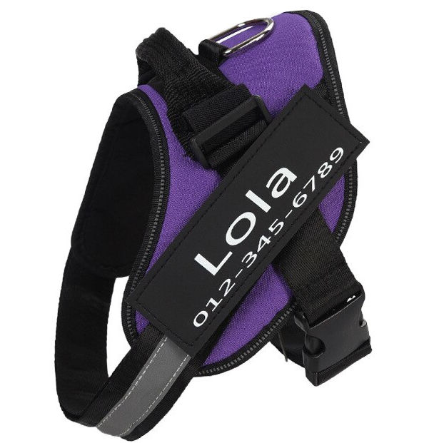 Personalized No-Pull Harness