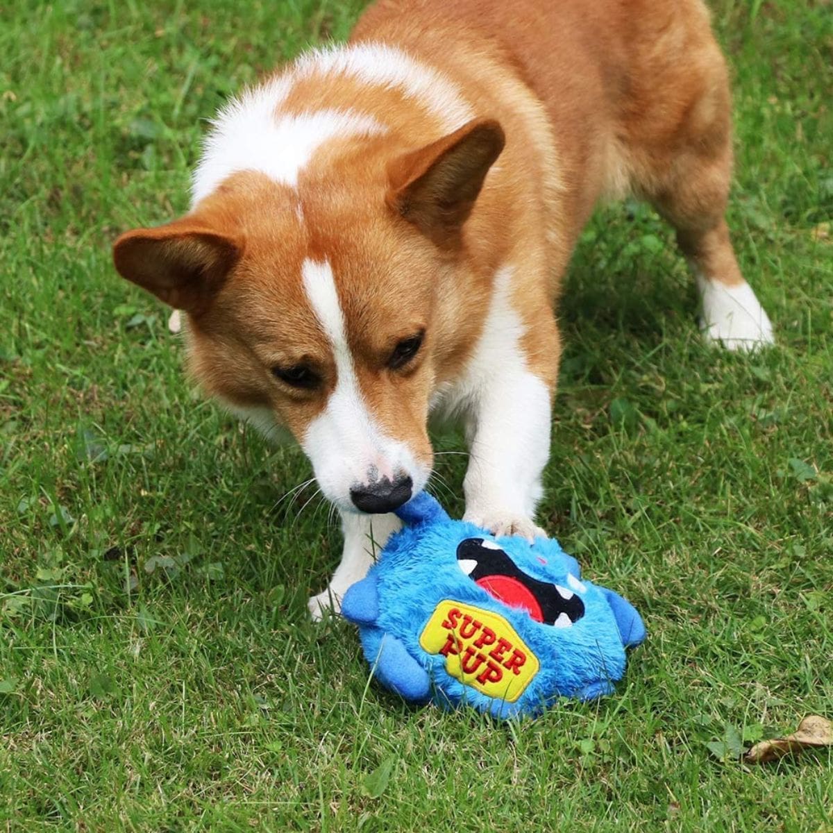 Cute Monster - Interactive Dog Toy