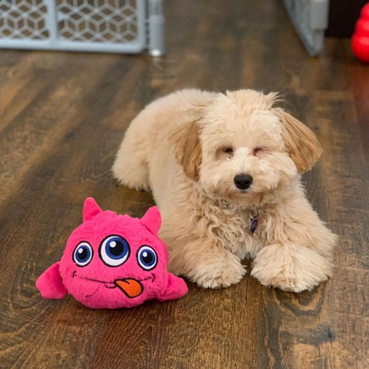 Cute Monster - Interactive Dog Toy