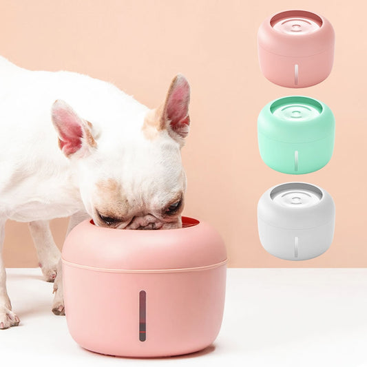 Pet Filtered Drinking Bowl